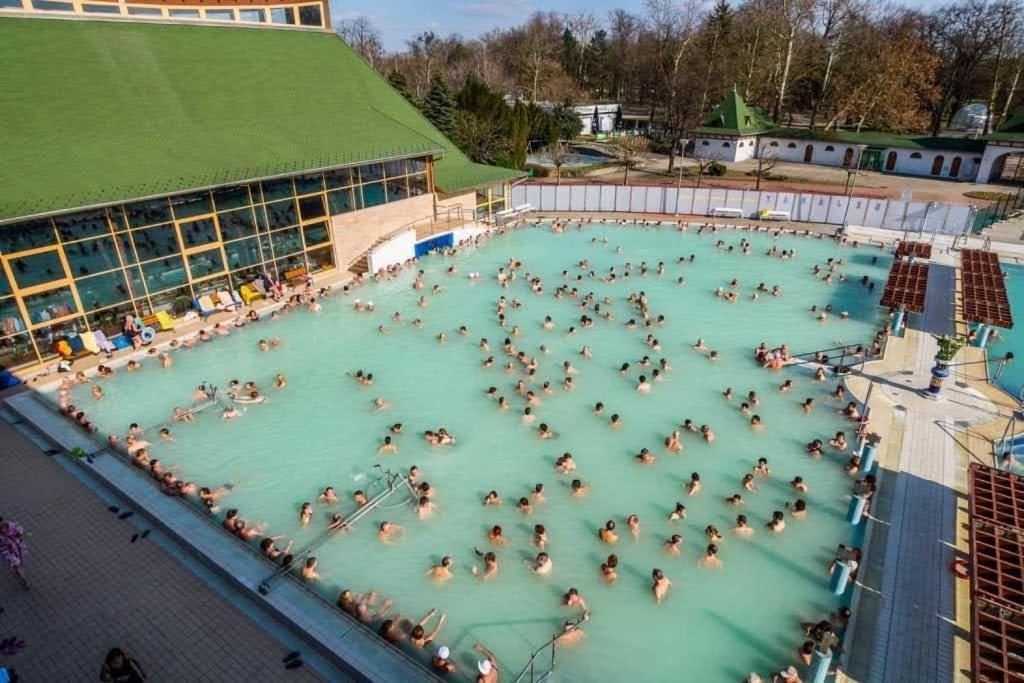 Apartman Aniko Vendeghaz Harkány Exterior foto